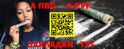 кокс Гатчина