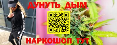 кокс Гатчина
