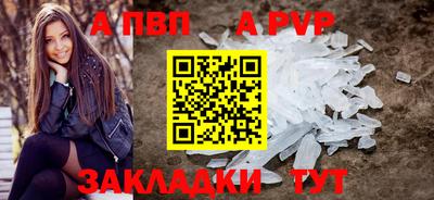 кокс Гатчина