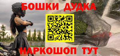 кокс Гатчина
