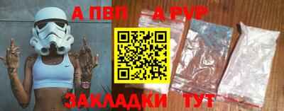 кокс Гатчина